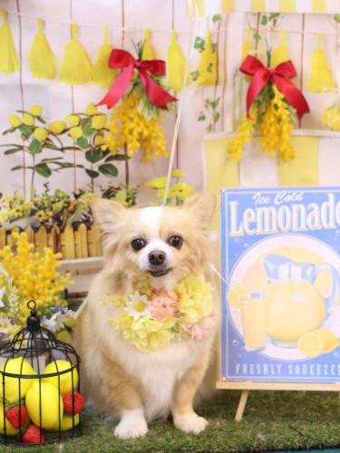 20240429マロ太くん